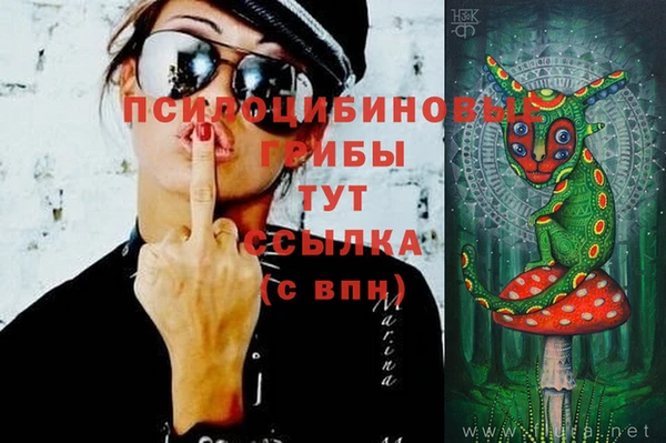 мет Краснослободск