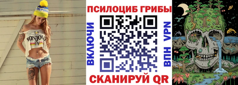 продажа наркотиков  Бердск  гидра сайт  Псилоцибиновые грибы мухоморы 