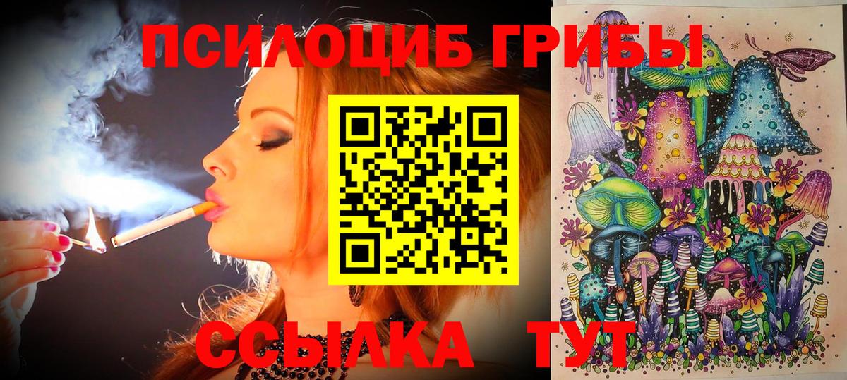Псилоцибиновые грибы ЛСД Бердск