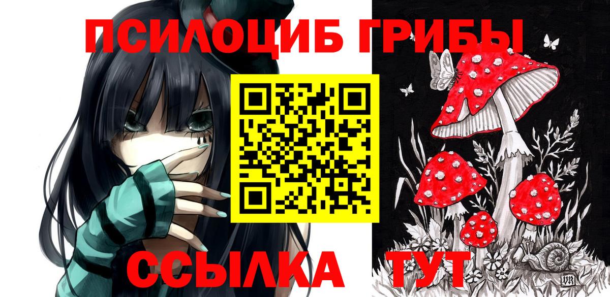 Псилоцибиновые грибы Magic Shrooms Бердск