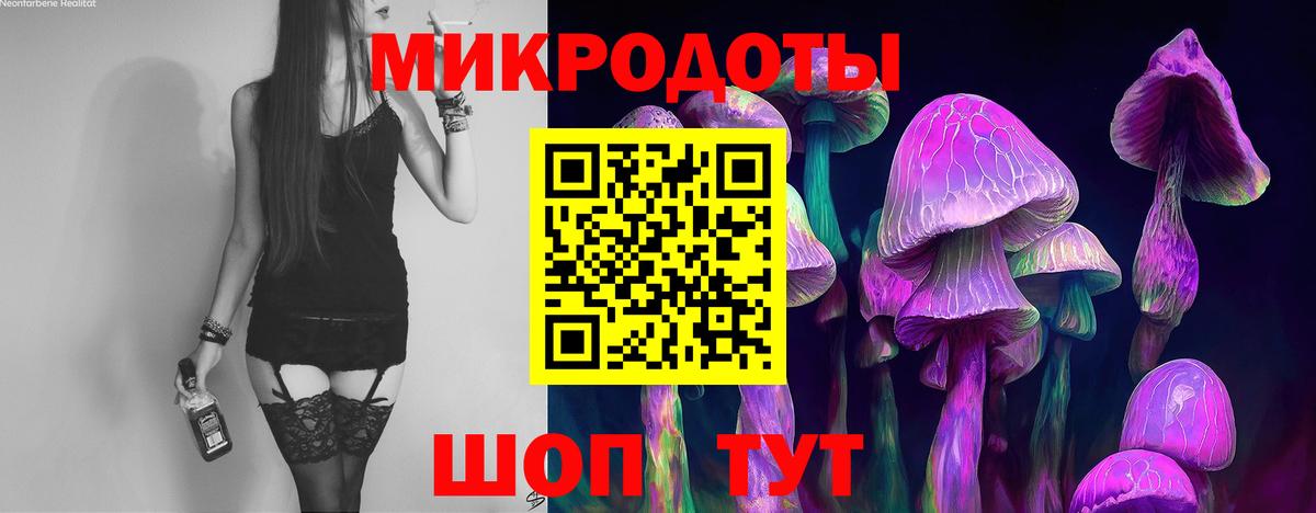 Бердск  Галлюциногенные грибы Psilocybine cubensis  Вход с VPN 