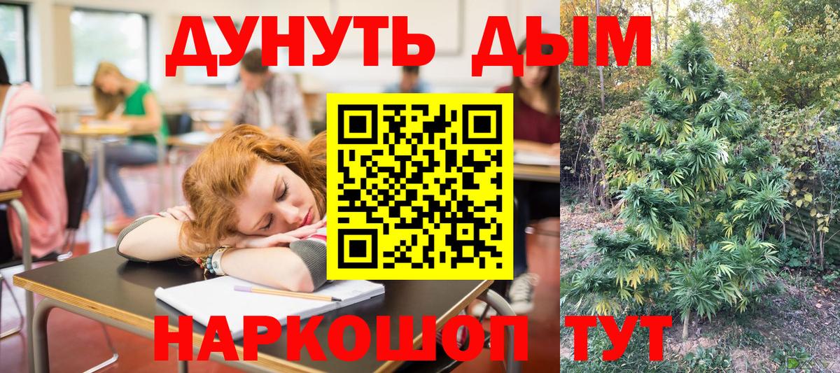 МАРИХУАНА сатива Бердск